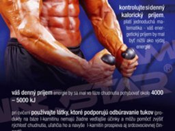Grafický návrh plagátu – fitko